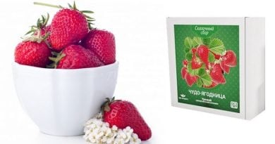 Сказочный сбор Чудо-ягодница КЛУБНИКА: богатый урожай вкусной клубники у себя дома!