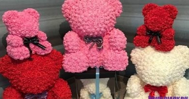 МИШКИ ИЗ 3D РОЗ – КРАСИВЫЙ ПОДАРОК ДЛЯ ДЕВУШЕК