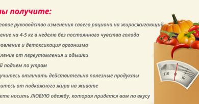 Программа для похудения «СтопЖир» — стройность и красота Вашей фигуры в кратчайшие сроки