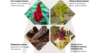 Средство для выведения паразитов Anti Toxin nano Анти Токсин нано — помогите своему организму защититься
