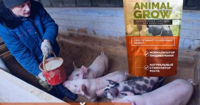 Animal Grow – биоактивный комплекс для животных