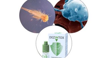 Dezintox от паразитов и гельминтов — полное очищение организма без побочных эффектов!