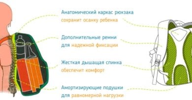 Ergobag — универсальный ортопедический рюкзак